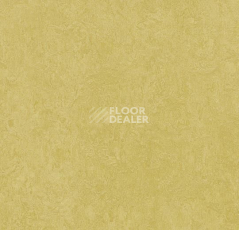 Линолеум Forbo Marmoleum Decibel on Order 325935 mustard фото 1 | FLOORDEALER